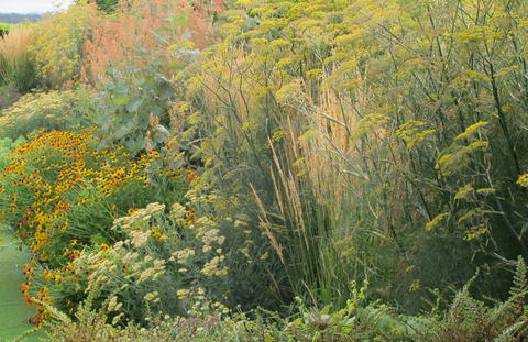 ‘Perennial borders’ garden tour with Paul Bangay