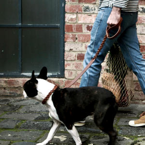 (Dog) Walk Meet with Best in Park