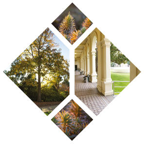 Garden Tour at Government House