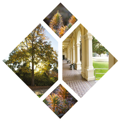 Garden Tour at Government House