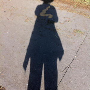 Walk Meet with Roseanne Bartley